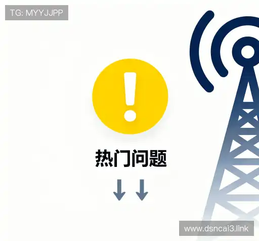 知识库